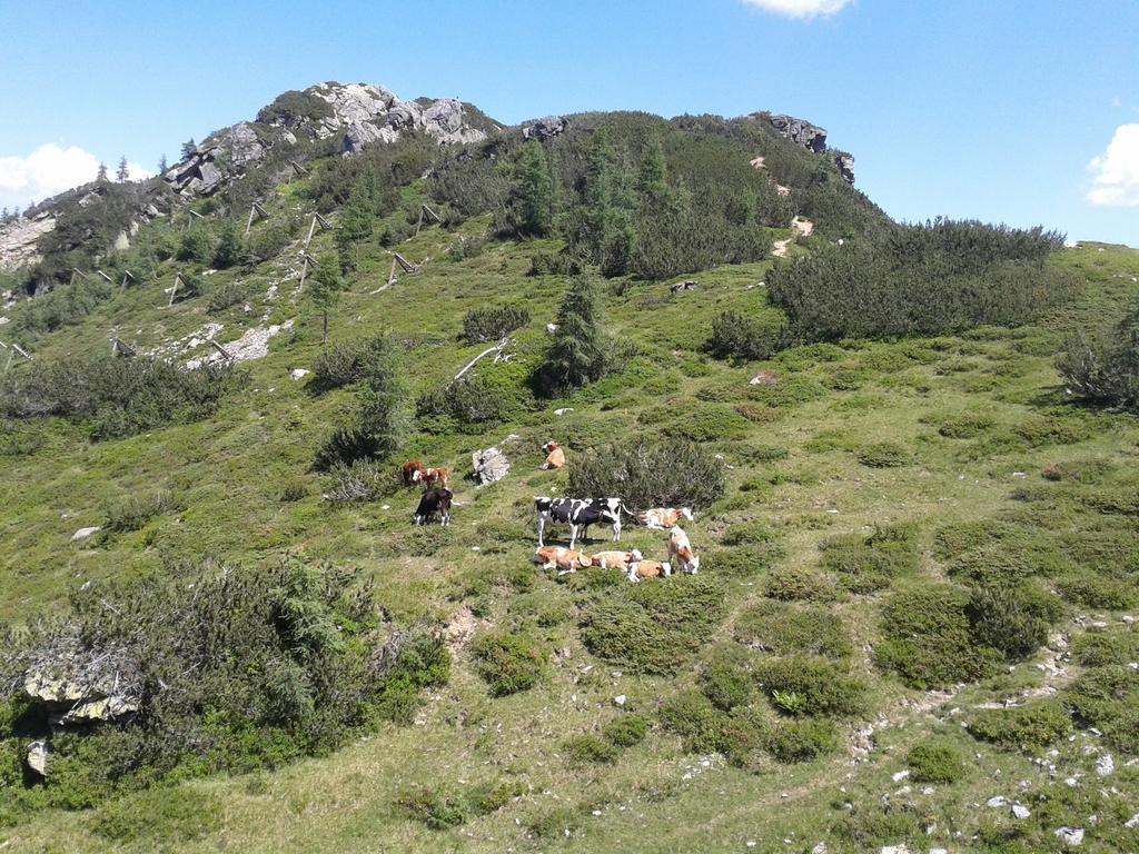 Alpenhotel Marcius Sonnenalpe Nassfeld Eksteriør bilde